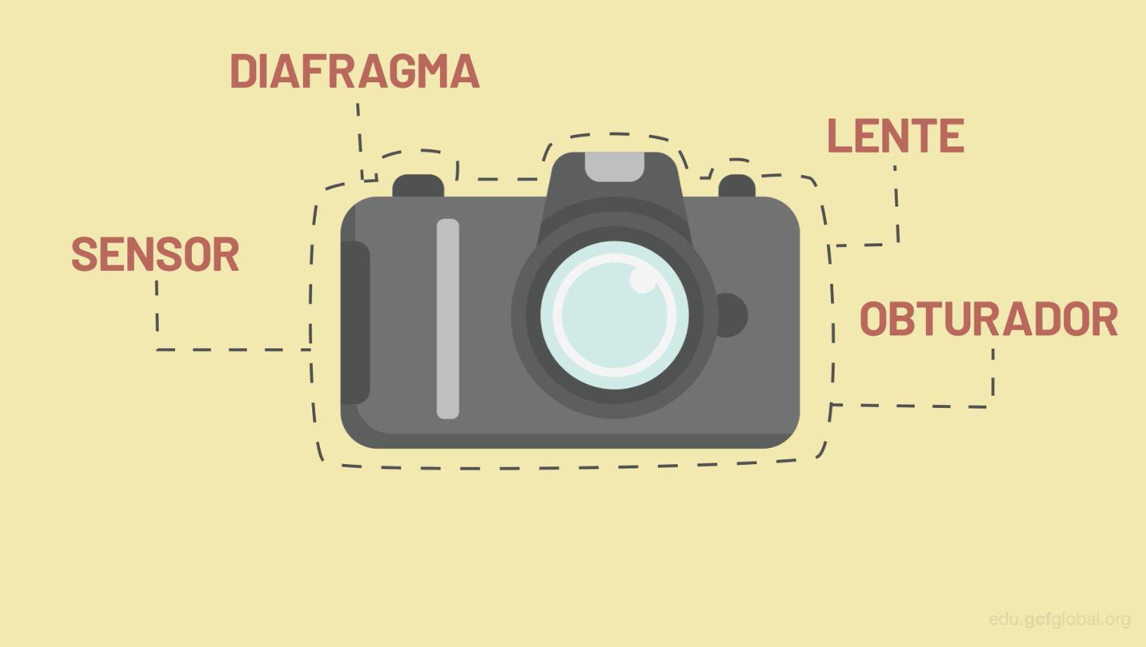 Estas cámaras suelen tener dentro del cuerpo todas los elementos necesarios para la toma de la fotografía. 